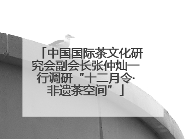 中国国际茶文化研究会副会长张仲灿一行调研“十二月令·非遗茶空间”