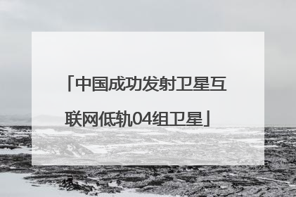 中国成功发射卫星互联网低轨04组卫星