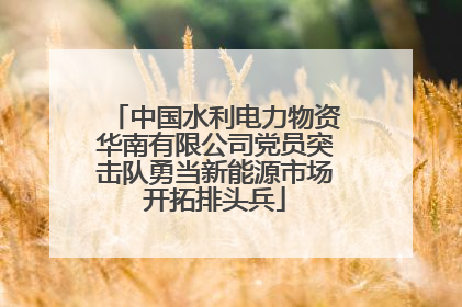 中国水利电力物资华南有限公司党员突击队勇当新能源市场开拓排头兵