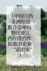 中国江西-非洲投资推介会举行 赞比亚江西经济合作区助力企业“走出去”
