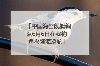 中国海警舰艇编队6月6日在我钓鱼岛领海巡航