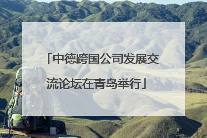 中德跨国公司发展交流论坛在青岛举行
