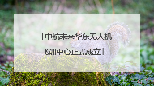 中航未来华东无人机飞训中心正式成立