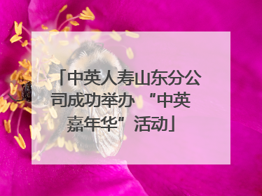 中英人寿山东分公司成功举办 “中英嘉年华”活动