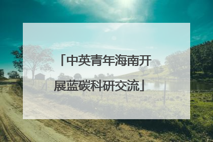 中英青年海南开展蓝碳科研交流