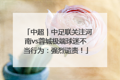 中超｜中足联关注河南vs蓉城极端球迷不当行为：强烈谴责！