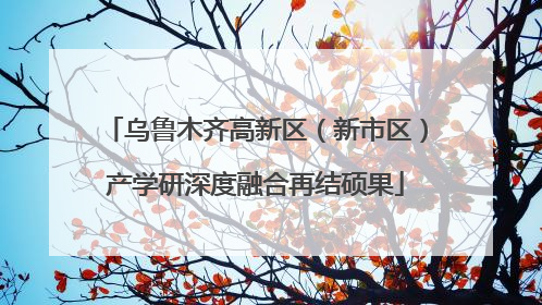 乌鲁木齐高新区（新市区）产学研深度融合再结硕果