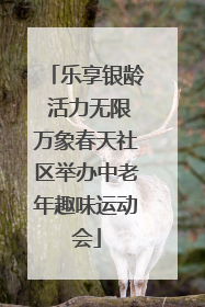 乐享银龄 活力无限万象春天社区举办中老年趣味运动会