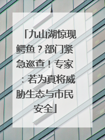 九山湖惊现鳄鱼？部门紧急巡查！专家：若为真将威胁生态与市民安全