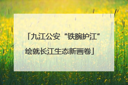 九江公安“铁腕护江”绘就长江生态新画卷