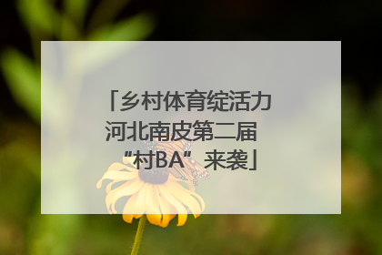 乡村体育绽活力 河北南皮第二届“村BA”来袭