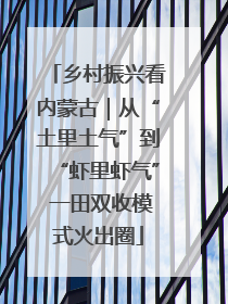 乡村振兴看内蒙古｜从“土里土气”到“虾里虾气” 一田双收模式火出圈