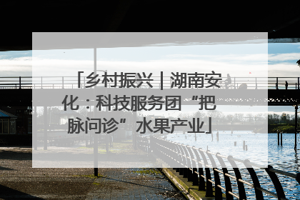乡村振兴｜湖南安化：科技服务团“把脉问诊”水果产业