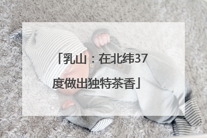 乳山：在北纬37度做出独特茶香