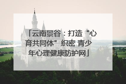 云南景谷：打造“心育共同体”织密 青少年心理健康防护网