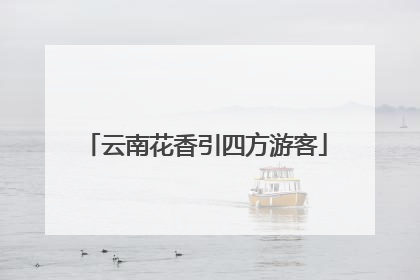 云南花香引四方游客