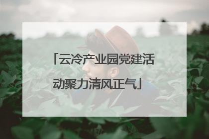 云冷产业园党建活动聚力清风正气