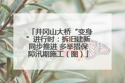 井冈山大桥“变身”进行时：拆旧建新同步推进 多举措保障汛期施工（图）