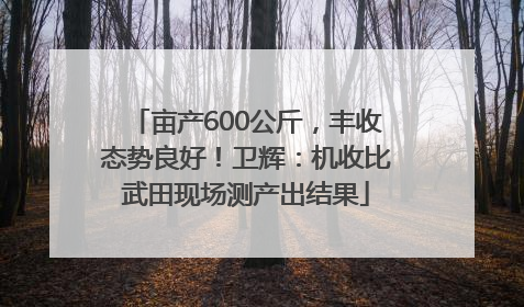 亩产600公斤，丰收态势良好！卫辉：机收比武田现场测产出结果