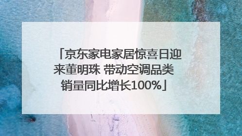 京东家电家居惊喜日迎来董明珠 带动空调品类销量同比增长100%