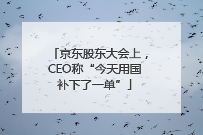京东股东大会上，CEO称“今天用国补下了一单”