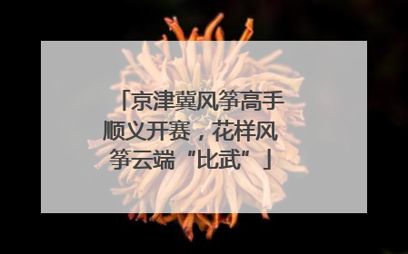 京津冀风筝高手顺义开赛，花样风筝云端“比武”