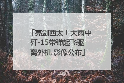 亮剑西太！大雨中歼-15带弹起飞驱离外机 影像公布