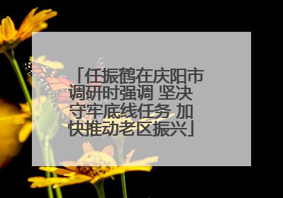 任振鹤在庆阳市调研时强调 坚决守牢底线任务 加快推动老区振兴