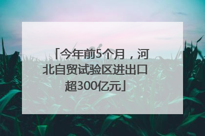 今年前5个月，河北自贸试验区进出口超300亿元