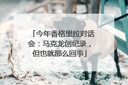 今年香格里拉对话会：马克龙创纪录，但也就那么回事