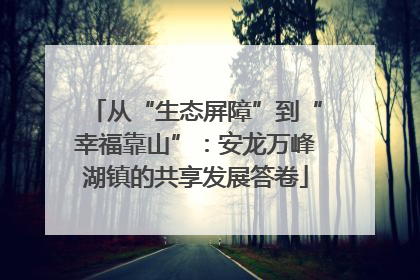 从“生态屏障”到“幸福靠山”：安龙万峰湖镇的共享发展答卷