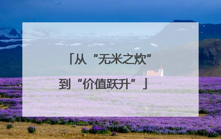 从“无米之炊”到“价值跃升”