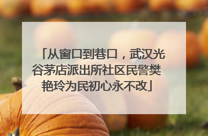 从窗口到巷口，武汉光谷茅店派出所社区民警樊艳玲为民初心永不改
