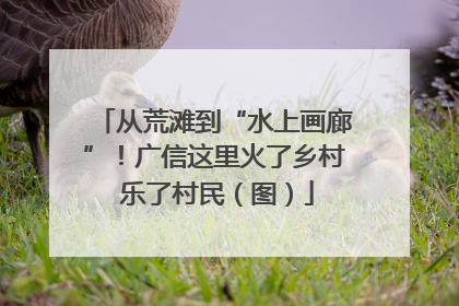 从荒滩到“水上画廊”！广信这里火了乡村 乐了村民（图）