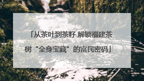 从茶叶到茶籽 解锁福建茶树“全身宝藏”的富民密码