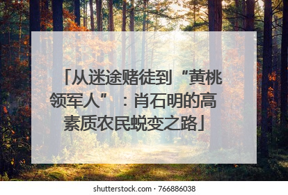 从迷途赌徒到“黄桃领军人”：肖石明的高素质农民蜕变之路
