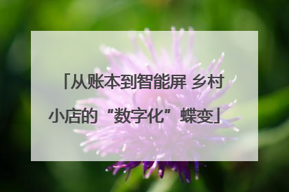 从账本到智能屏 乡村小店的“数字化”蝶变