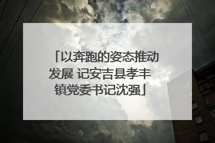 以奔跑的姿态推动发展 记安吉县孝丰镇党委书记沈强