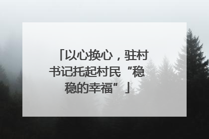 以心换心，驻村书记托起村民“稳稳的幸福”