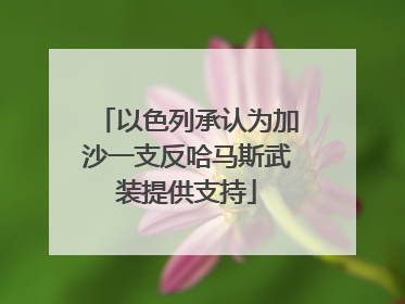 以色列承认为加沙一支反哈马斯武装提供支持