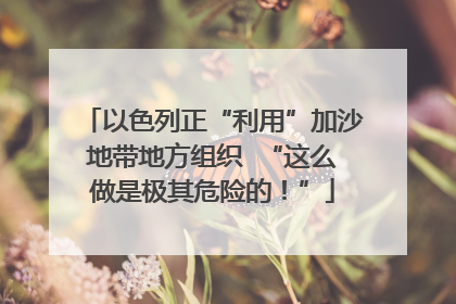以色列正“利用”加沙地带地方组织  “这么做是极其危险的！”