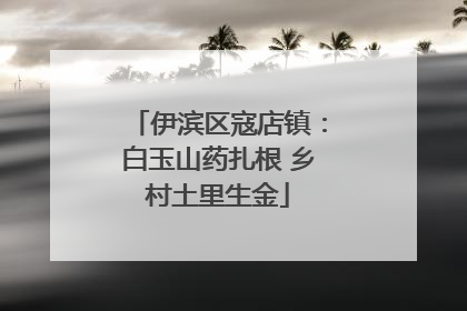 伊滨区寇店镇：白玉山药扎根 乡村土里生金
