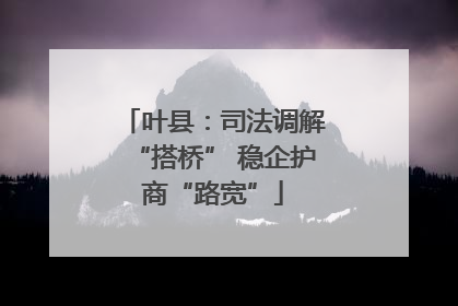 叶县：司法调解“搭桥” 稳企护商“路宽”