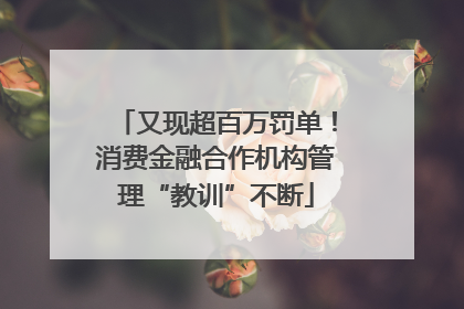 又现超百万罚单！消费金融合作机构管理“教训”不断