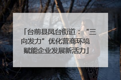 台前县凤台街道：“三向发力”优化营商环境 赋能企业发展新活力