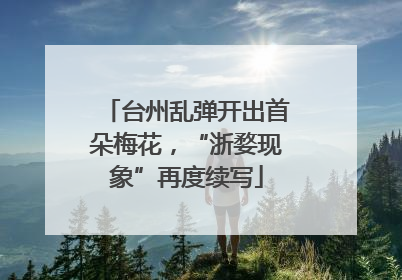 台州乱弹开出首朵梅花，“浙婺现象”再度续写