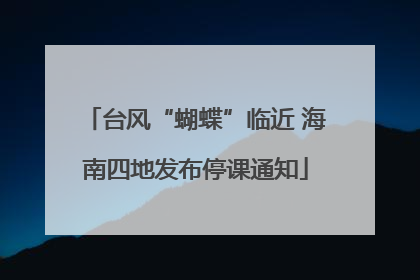 台风“蝴蝶”临近 海南四地发布停课通知