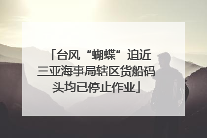 台风“蝴蝶”迫近 三亚海事局辖区货船码头均已停止作业