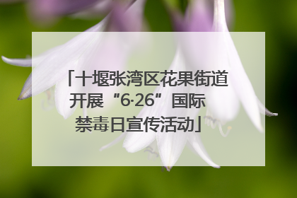 十堰张湾区花果街道开展“6·26”国际禁毒日宣传活动