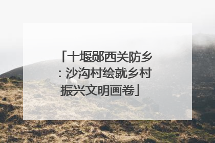 十堰郧西关防乡：沙沟村绘就乡村振兴文明画卷